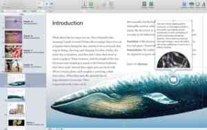 iBooks Authorscreen800x500 (12)