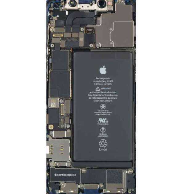 「iPhone 12」「iPhone 12 mini」「iPhone 12 Pro」「iPhone 12 Pro Max」のスケルトン壁紙