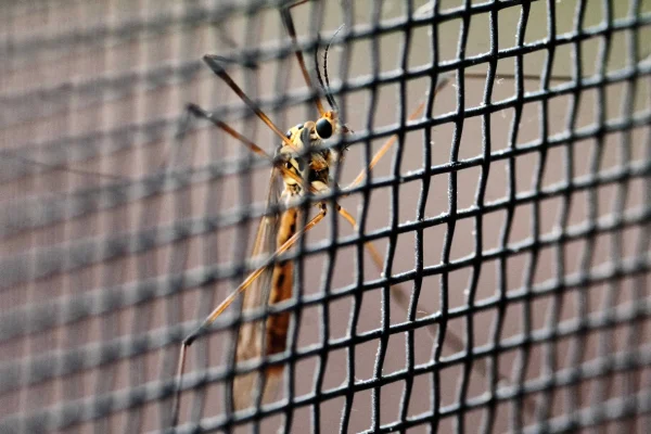 気候変動は、人間の病気を悪化させる可能性を高める