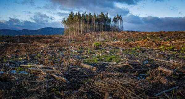 ［私たちの良心］危険にさらされている世界のための実践