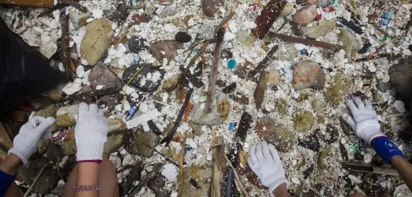 ペットボトル入り飲料水の禁止しないとマイクロプラスチックが世界中にさらに拡散し、人間の体内にも侵入