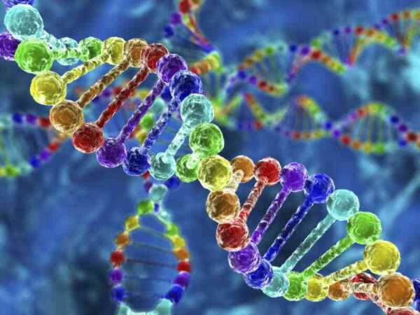 ［オートポイエーシス］死ぬ能力が重要な理由