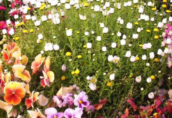 ［人生の旅路］目覚め、無私の本当の意味