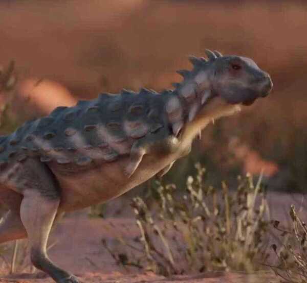 ［新恐竜発見］アルゼンチンで発見された新種の装甲恐竜「ジャカピル・カニウクラ」の化石（シュミレーション動画あり）