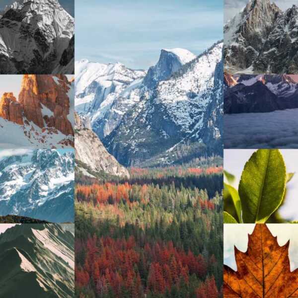 iOS 16の深度効果を使った素晴らしい自然写真のiPhone用壁紙（8枚）